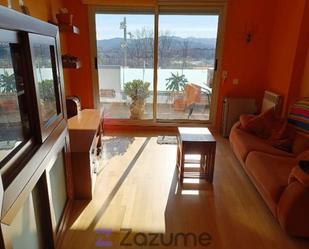Living room of Flat to rent in Cerdanyola del Vallès  with Heating, Private garden and Parquet flooring