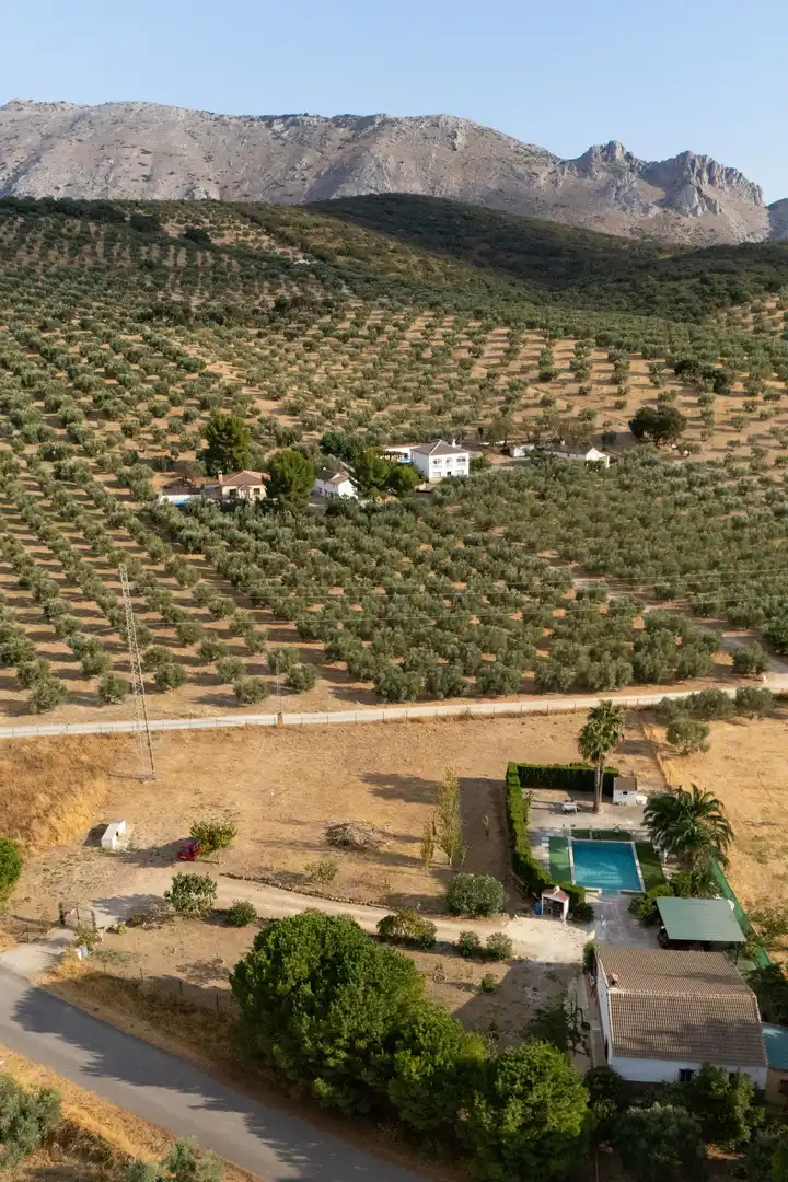 Lands and plots for sale in Bobadilla - Bobadilla Estación - La Joya, imagen 6