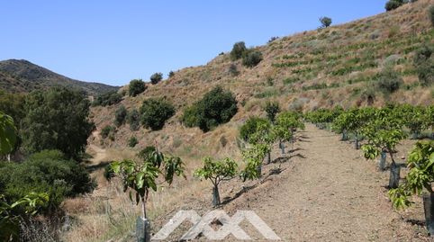 Foto 4 von Haus oder Chalet zum Verkauf in Poligono 3 - Parcela 182 - Rivero, Totalán, Málaga