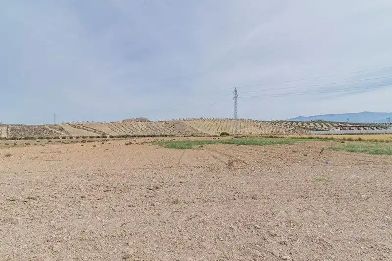 Rustikales Grundstück zum Verkauf in La Malahá, imagen 8