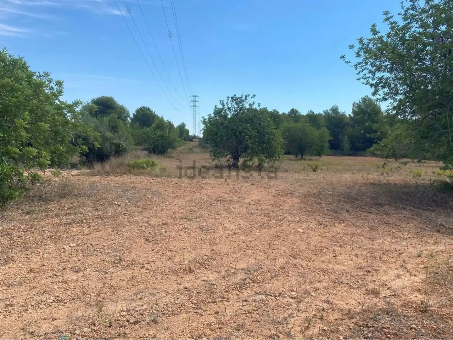 Rural land for sale in Extrarradio Diseminado 1, imagen 16