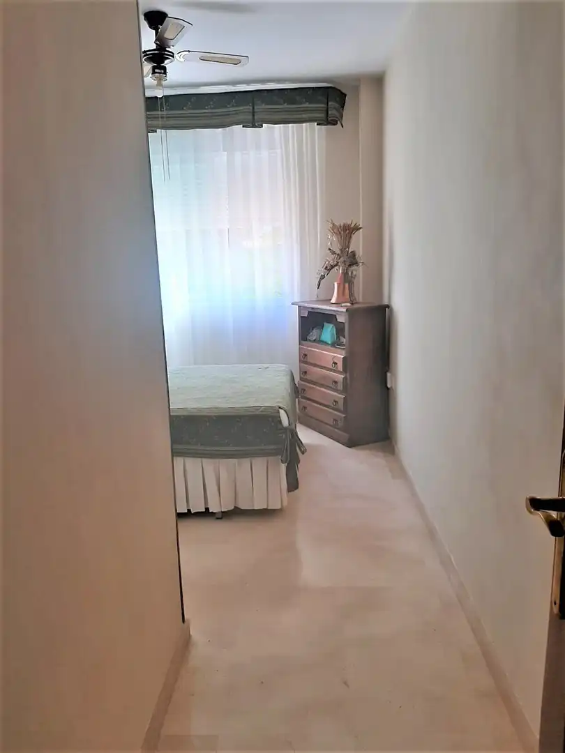 Apartments for rent in Centro