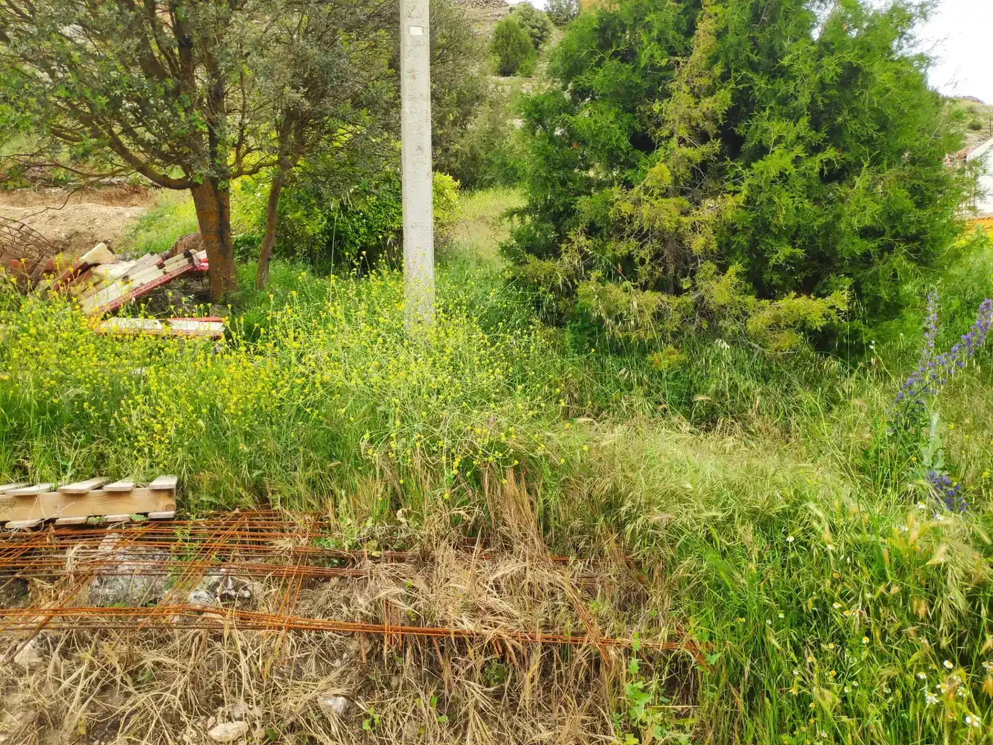 Land for sale in Castillejo de Robledo