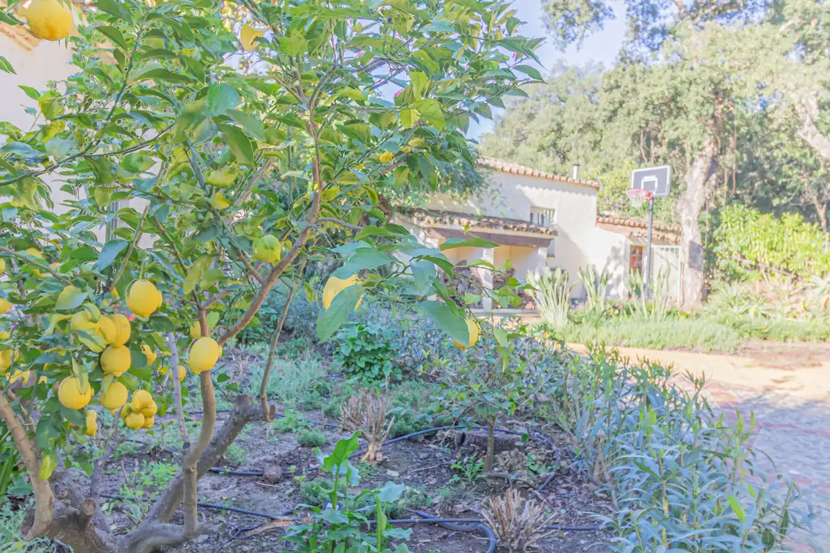 Chalet en venta en Sotogrande Alto, imagen 38