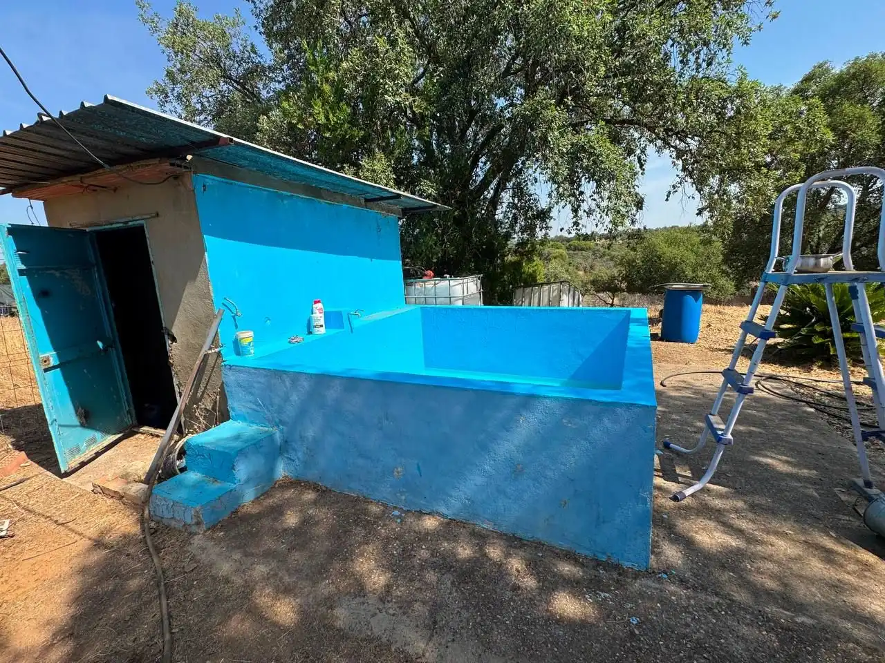 Piscina de Casa o xalet en venda en Castilblanco de los Arroyos amb Piscina