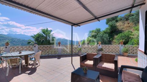 Foto 3 de Finca rústica en venta en Sayalonga, Málaga