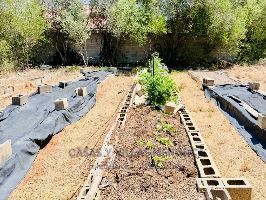 Casa rustica in vendita a Urbanizacion Binixica, imagen 16