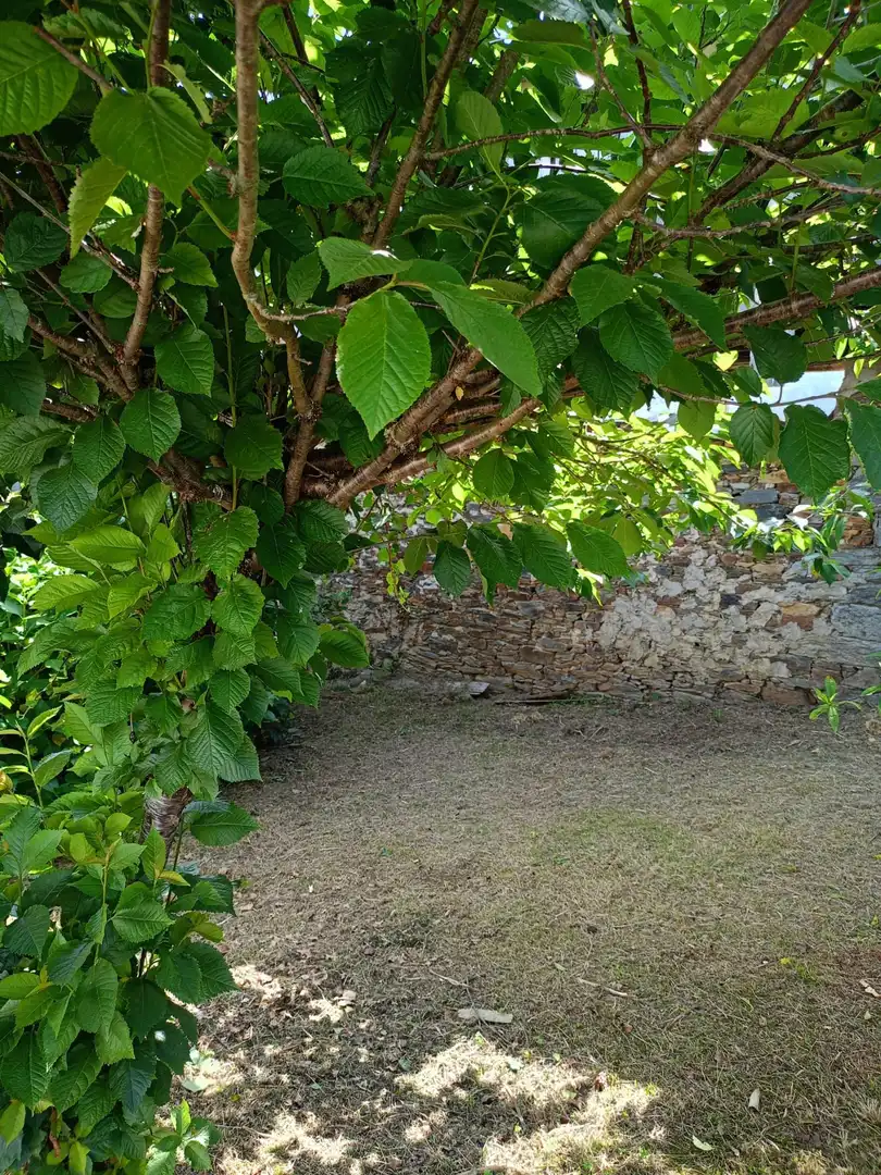 Maison avec jardin à vendre à Valdés - Luarca, imagen 5