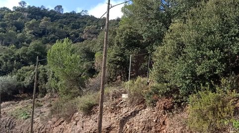 Imatge 2 de l'anunci