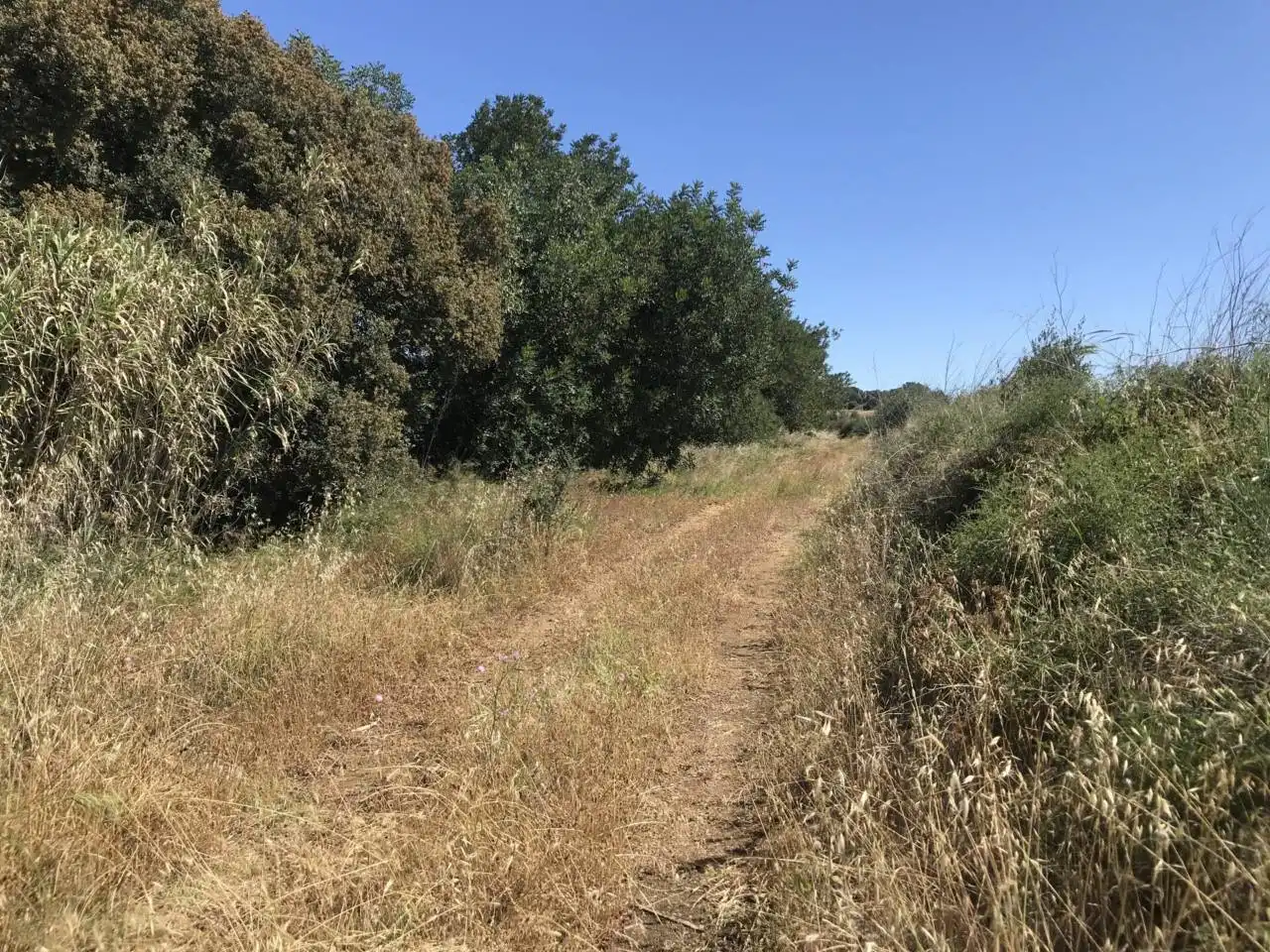 Rustikales Grundstück zum Verkauf in Poligono 1, Parcela 1 y 2, imagen 5