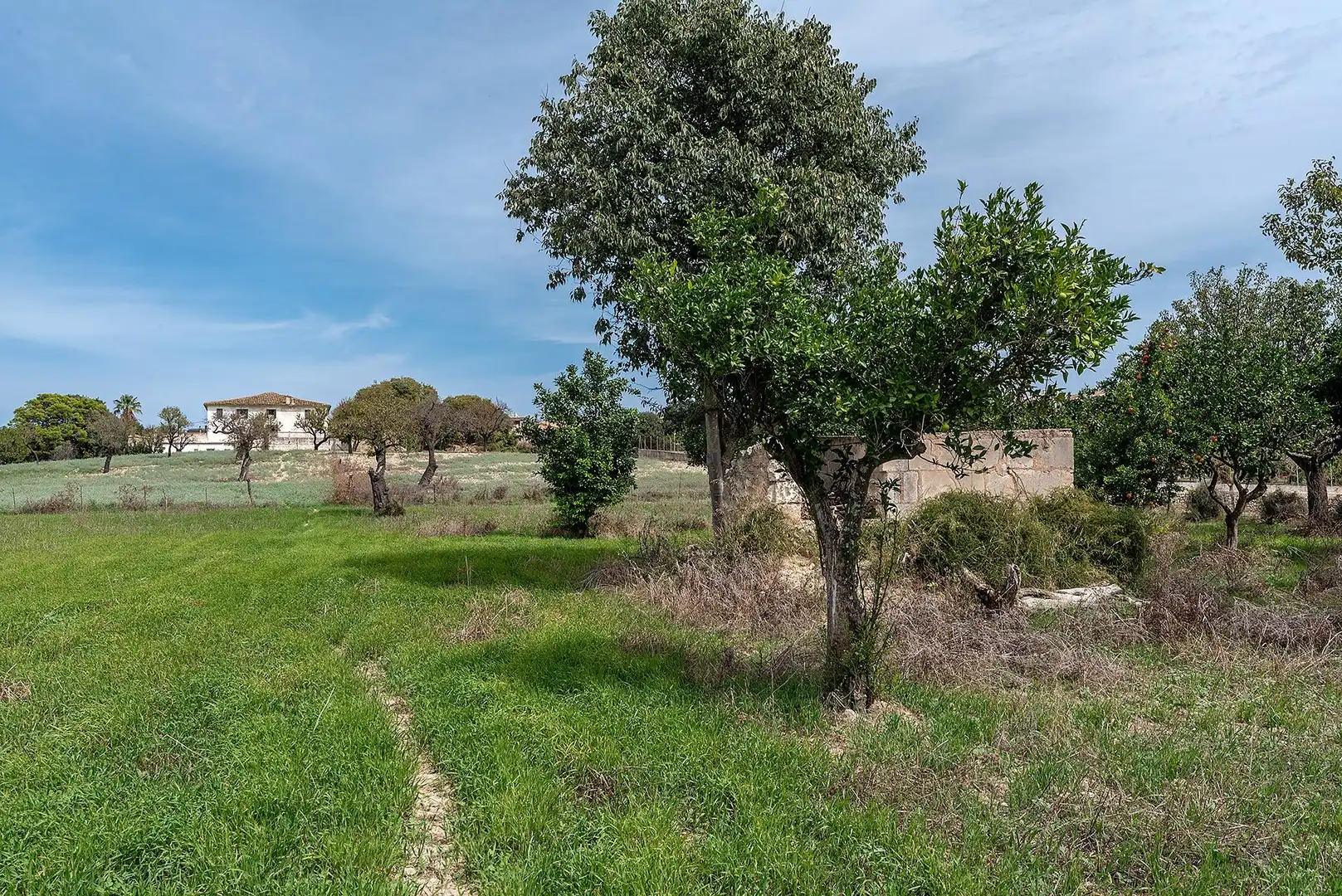 Country homes for sale in Campanet  with Private garden