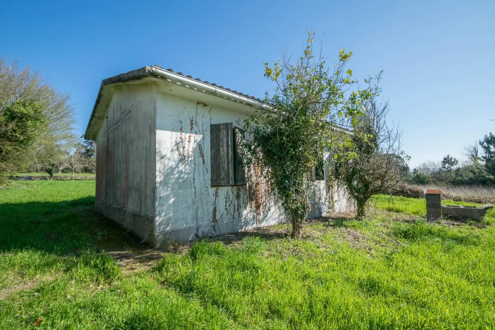 Vista exterior de Casa o xalet en venda en Cambre  amb Jardí privat