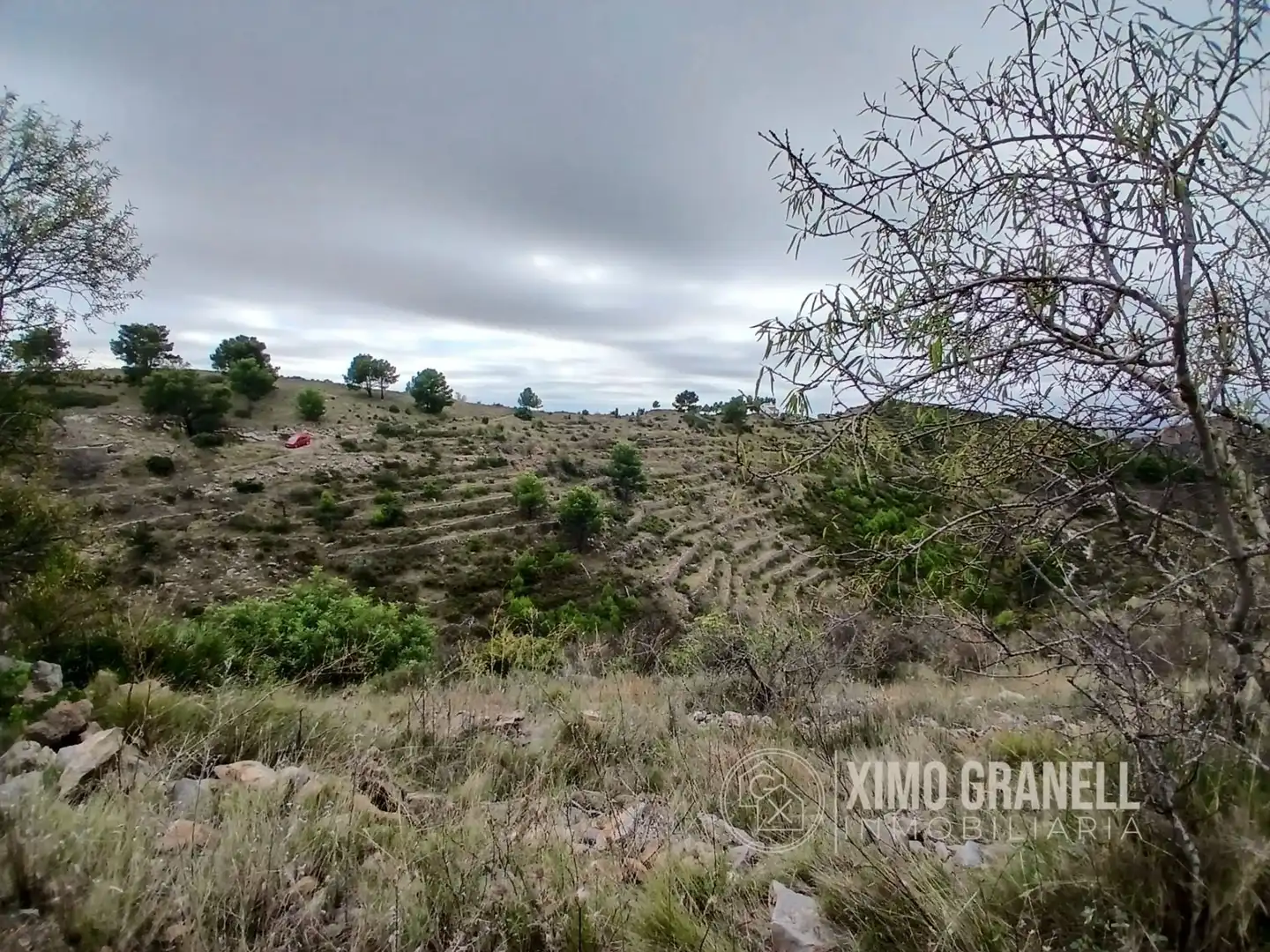 Terreny rústic en venda a La Vall d'Uixó