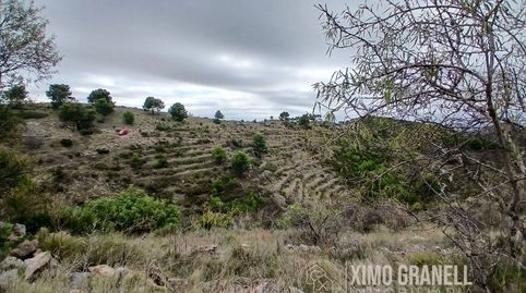 PARCELA RUSTICA DE 16.157m EN LA PARTIDA PEÑALBA DE LA VALL DUIXÓ