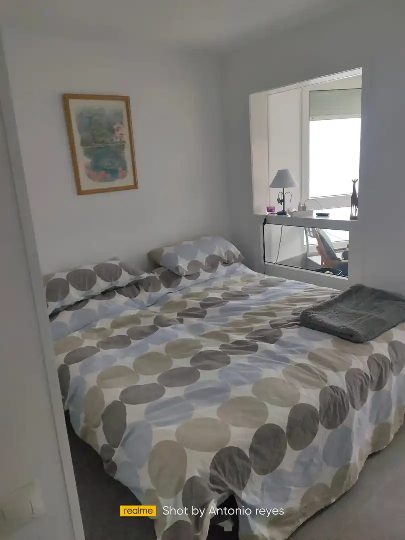 Study for rent in Avenida Europa, 82, Centro Internacional