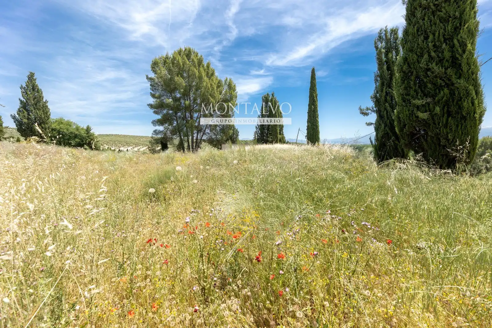 Land for sale in Pinos Puente