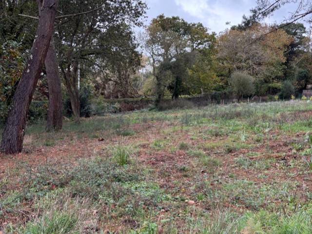 Terreno en Alquiler en Rúa Lavandeiras, 3 en Nós