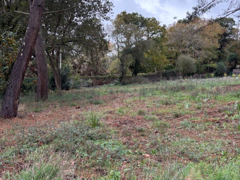 Grundstücke zur Miete in Oleiros