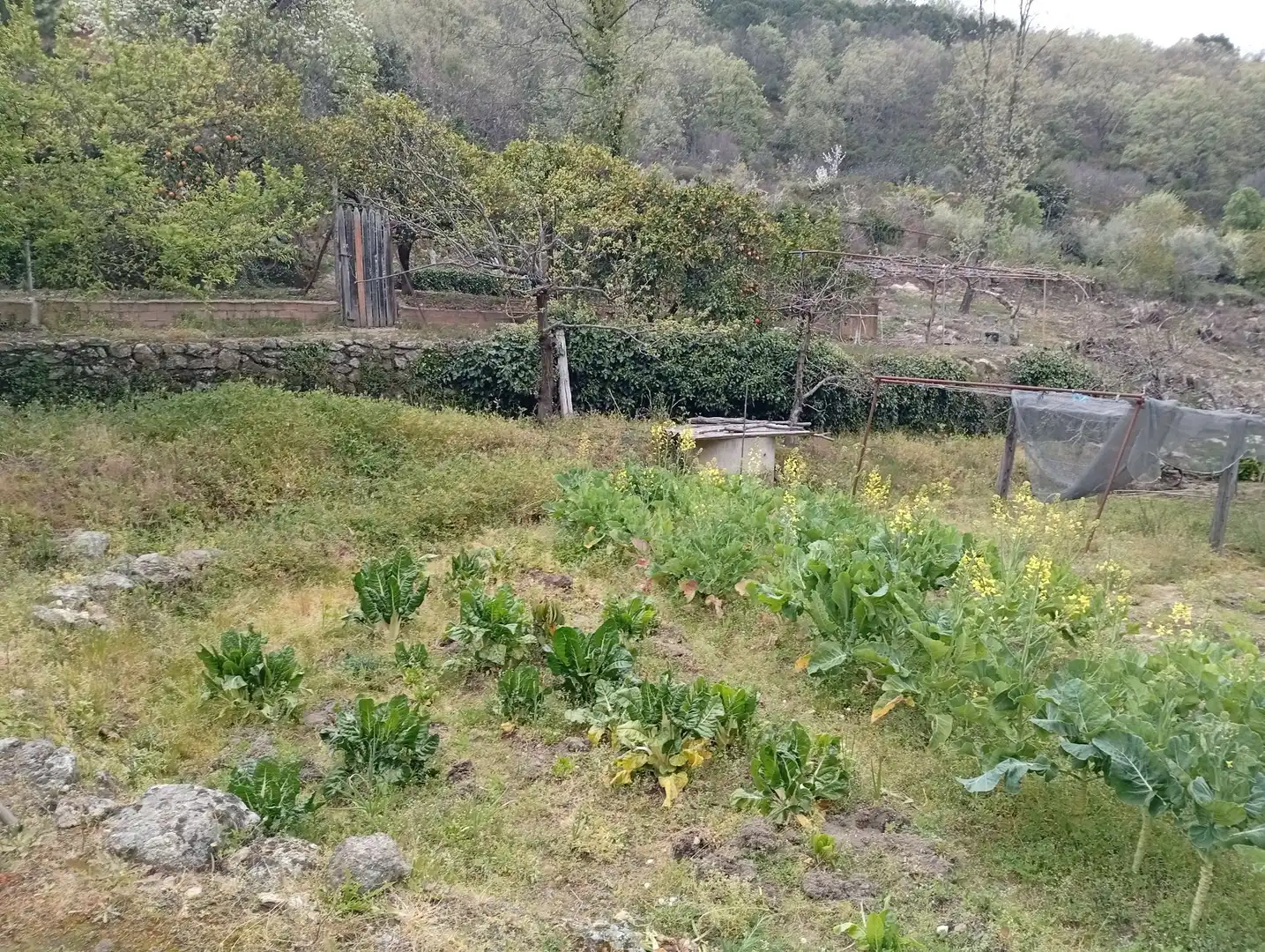 Terreni e lotti in vendita a Villanueva de la Vera, imagen 23