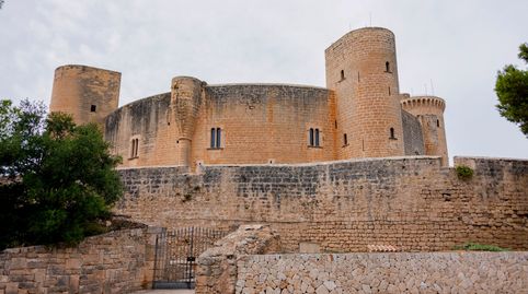 Photo 4 of Buildings for sale in Can Picafort, Santa Margalida