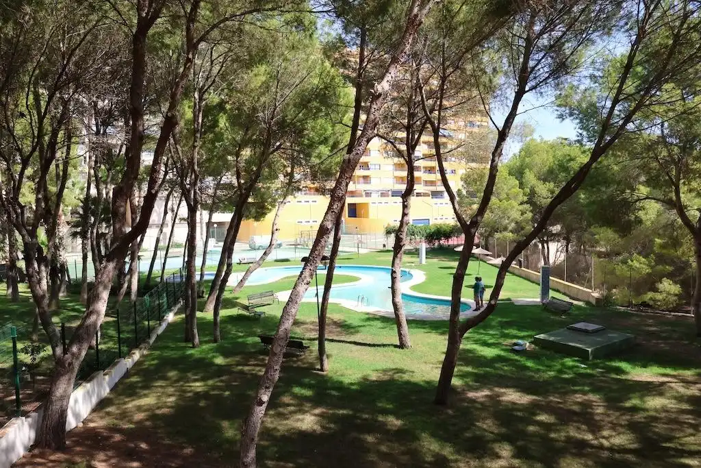 Apartament amb terrassa de lloguer a Y-1 CAMPOA-SECTOR NORTE, imagen 13