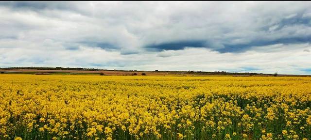 Casa-chalet en Venta en Sargentes de la Lora