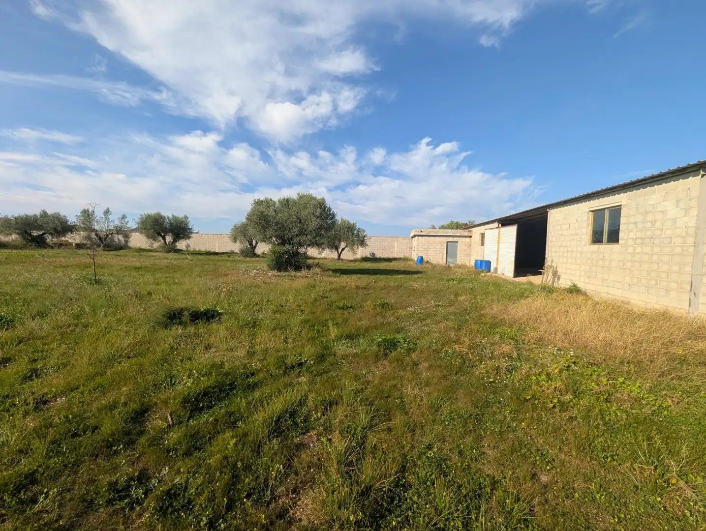 Terreno rustico in vendita a Partidas de interior - Zona Rústica, imagen 29