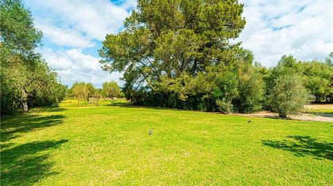 Foto 3 de Finca rústica en venda a Algaida, Illes Balears