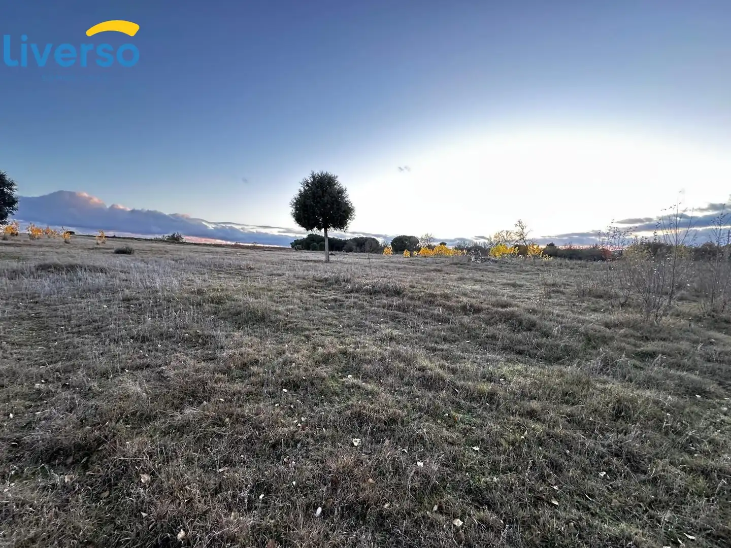 Terreno rústico en venta en Allendeduero, imagen 6
