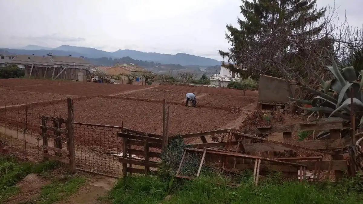 Terreny residencial en venda a Carrer de Solsona, imagen 3