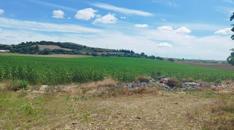 Foto 3 de Finca rústica en venda a Parque Atlántico - Ronda este, Jerez de la Frontera