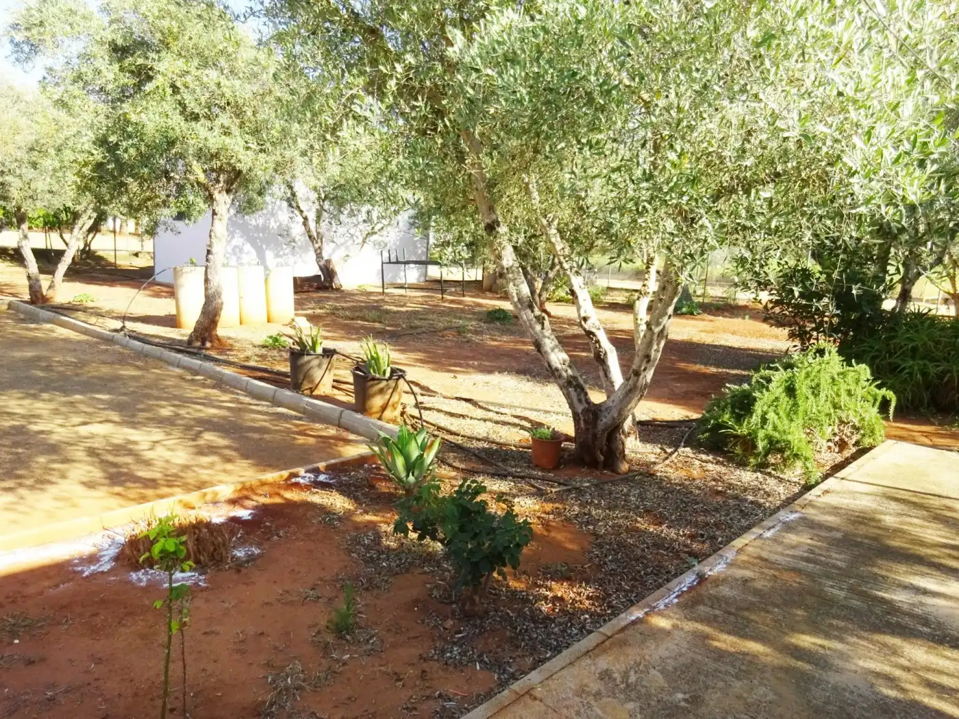 Finca rústica en venda a Mairena del Alcor
