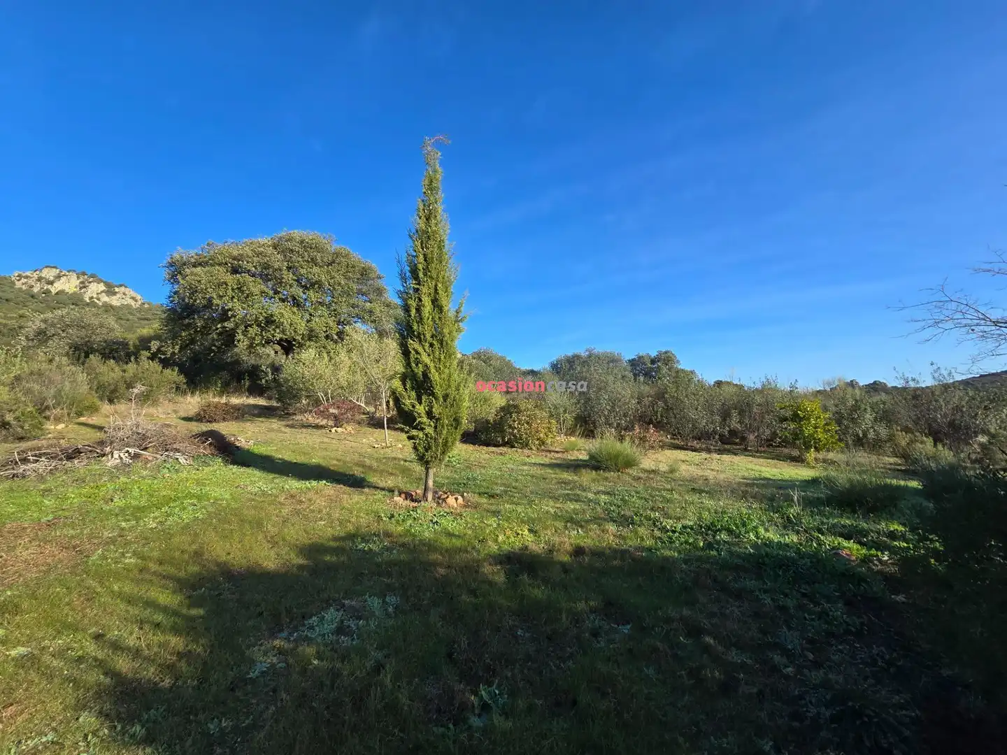 Casa o chalet en venta en Santa Eufemia