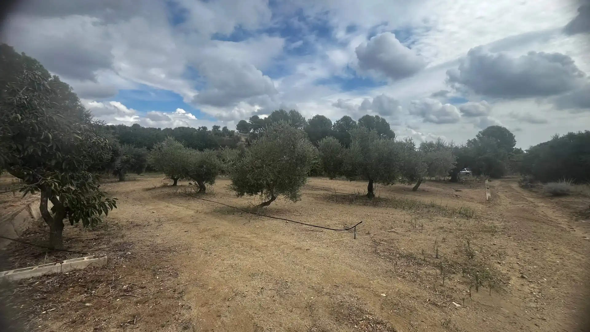 Terreno rustico in vendita a Carrer de Sant Abdó i Sant Senén, imagen 31