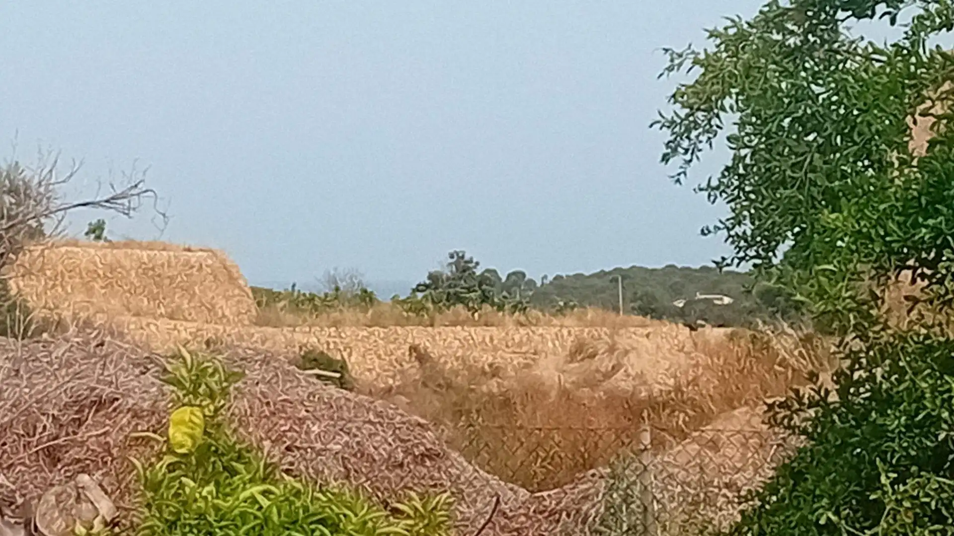Rural land for sale in Altea ciudad, imagen 13