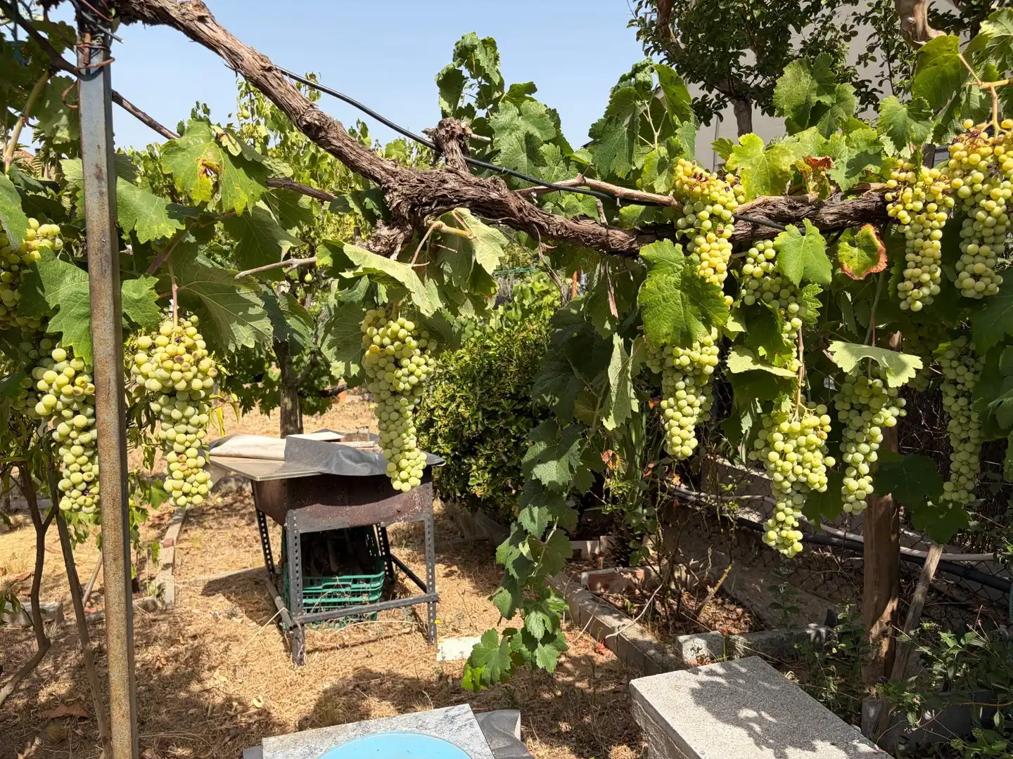 Terrenos y solares en venta en Sant Fost de Campsentelles, imagen 3