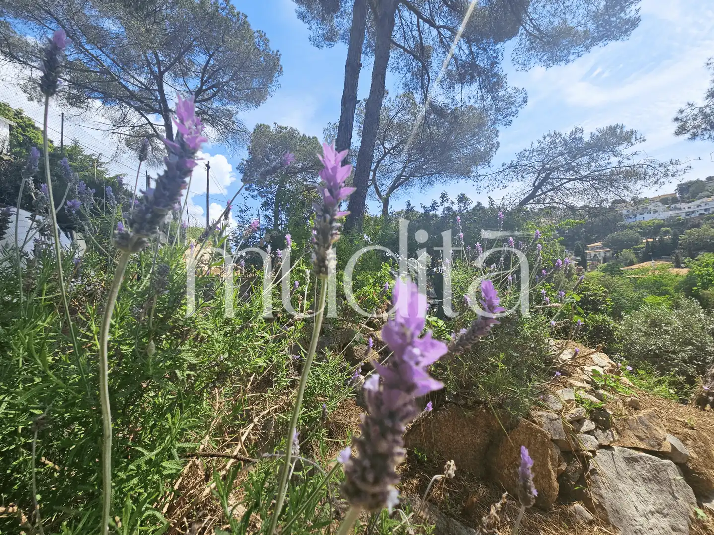 Terreno residencial en venta en Joan Maragall i Gorina, imagen 16