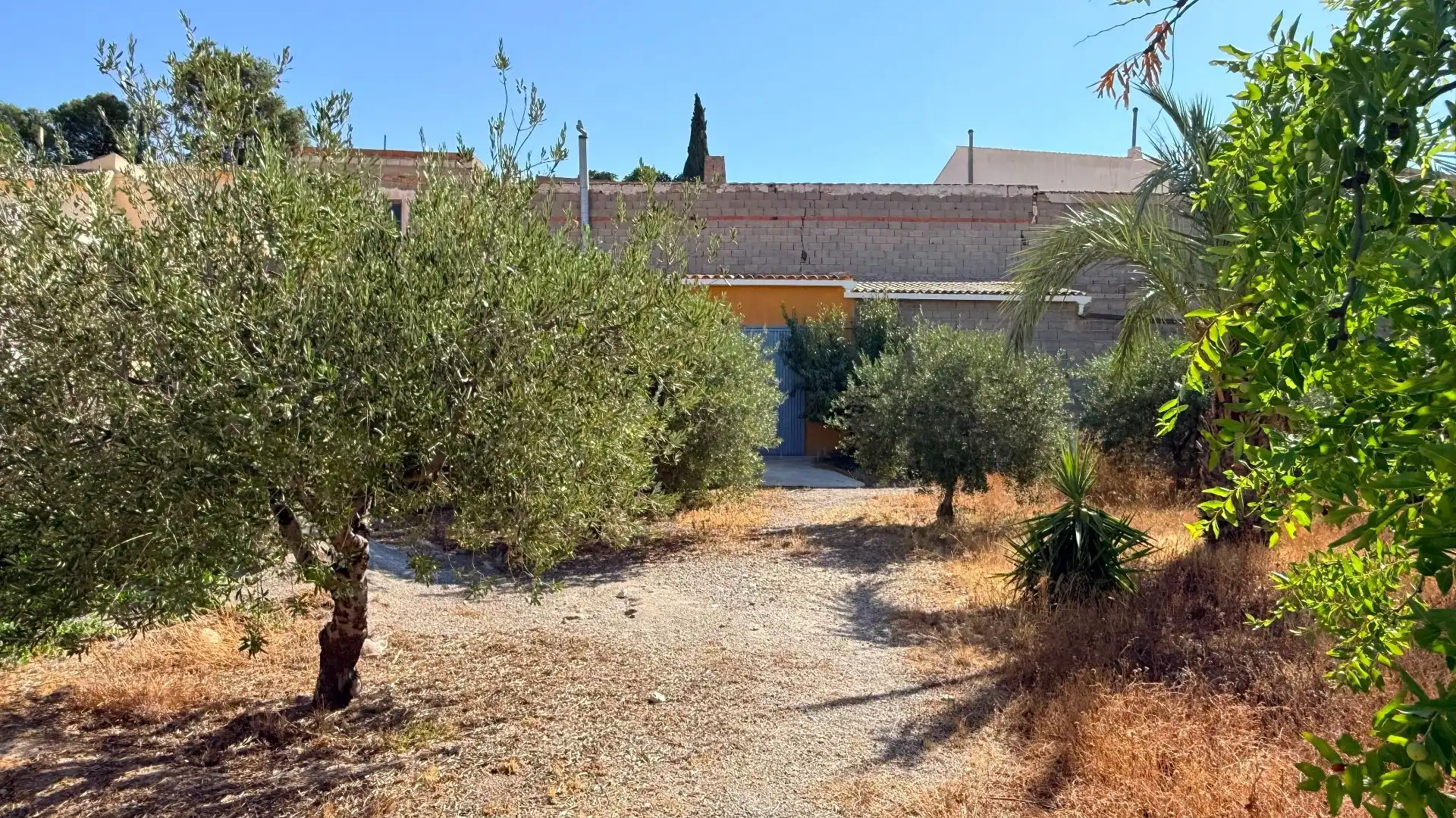 Casa o xalet en venda en Albox amb Jardí privat