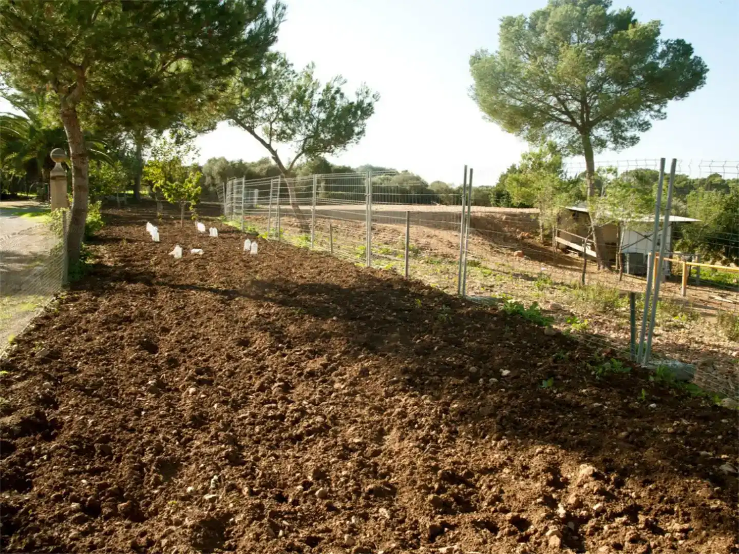 Jardí de Finca rústica en venda en  Palma de Mallorca amb Aire condicionat i Piscina