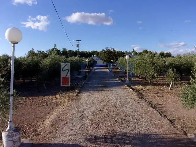 Casa rústica en venda a Valdepeñas, imagen 4