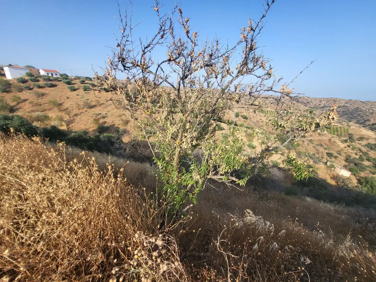 Terrenys i solars en venda a Campanillas, imagen 10