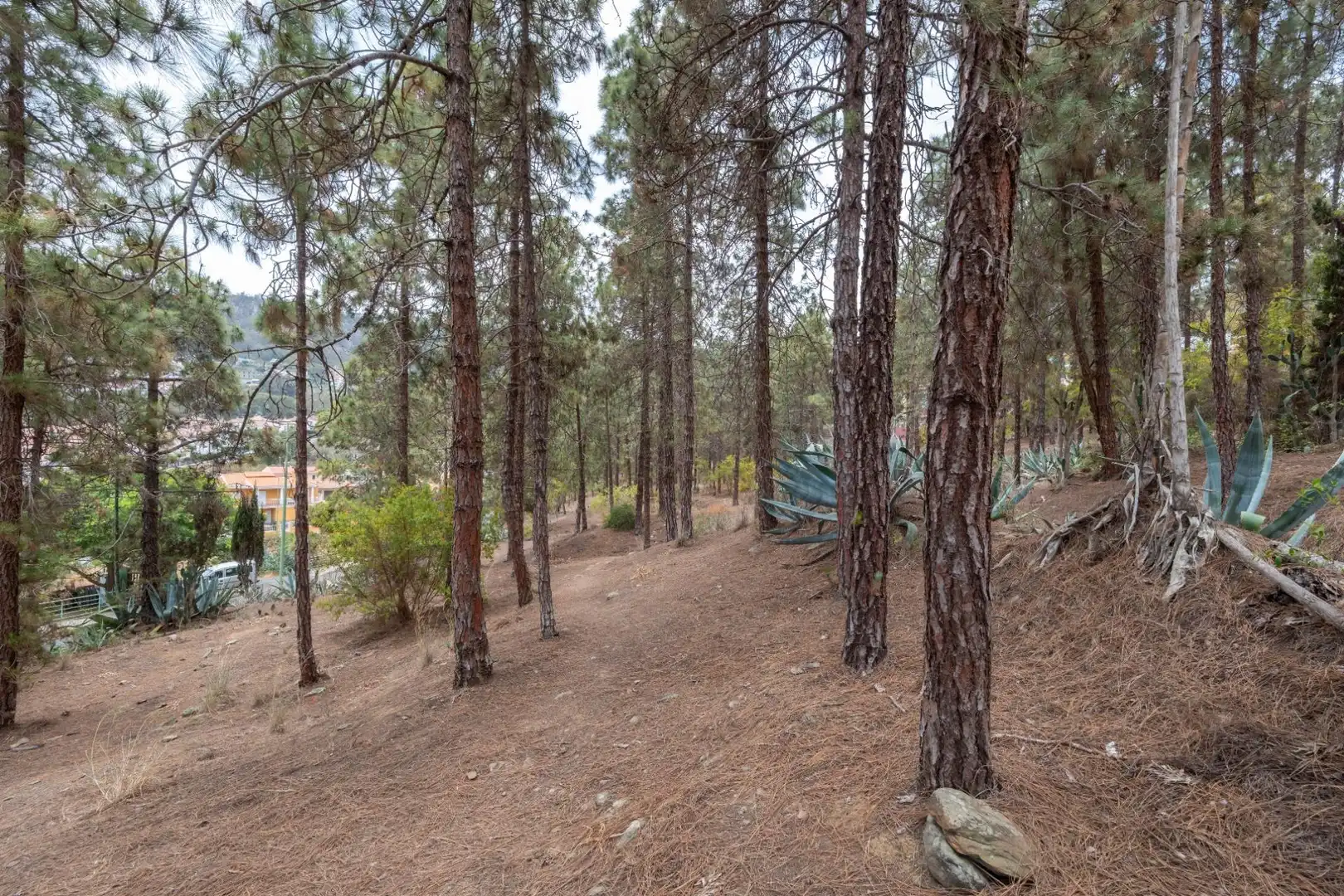 Casa o xalet en venda en Arucas amb Balcó