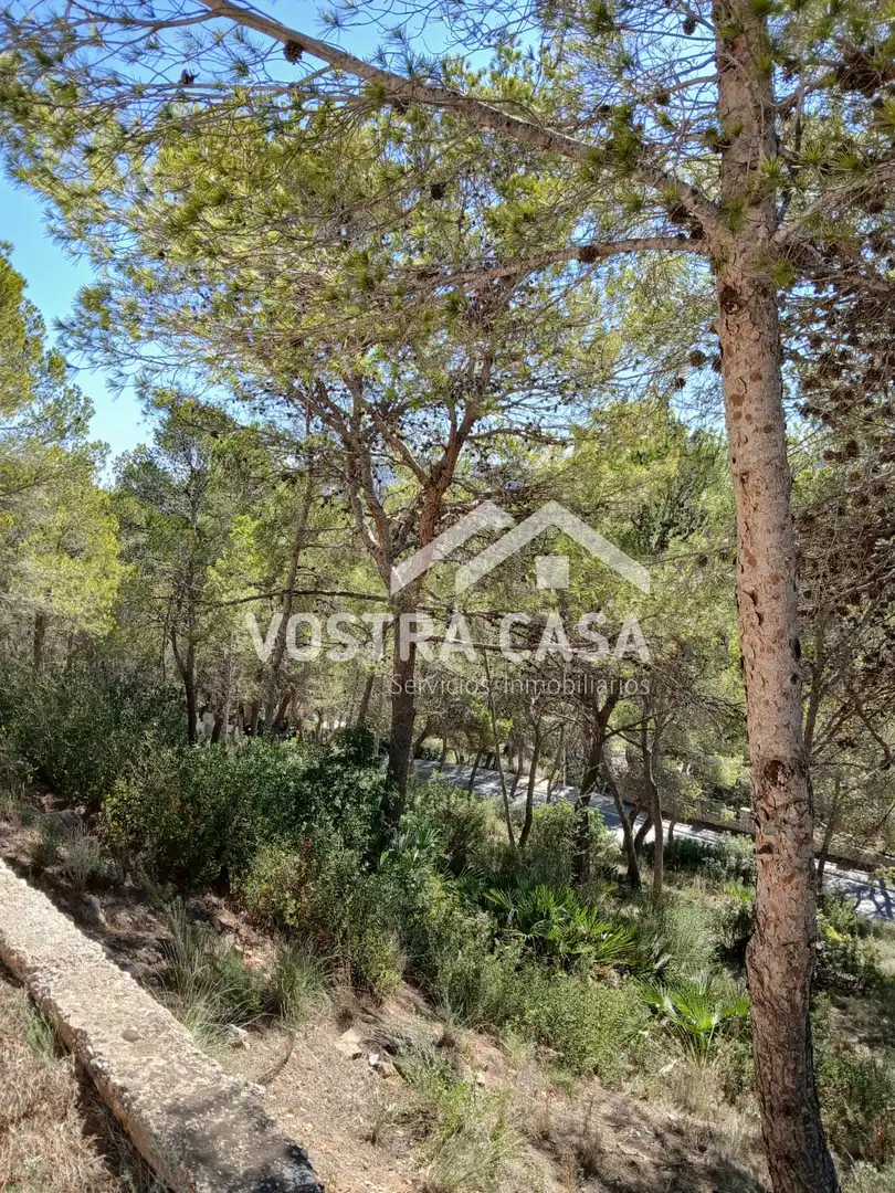 Terreno en venta en Godelleta