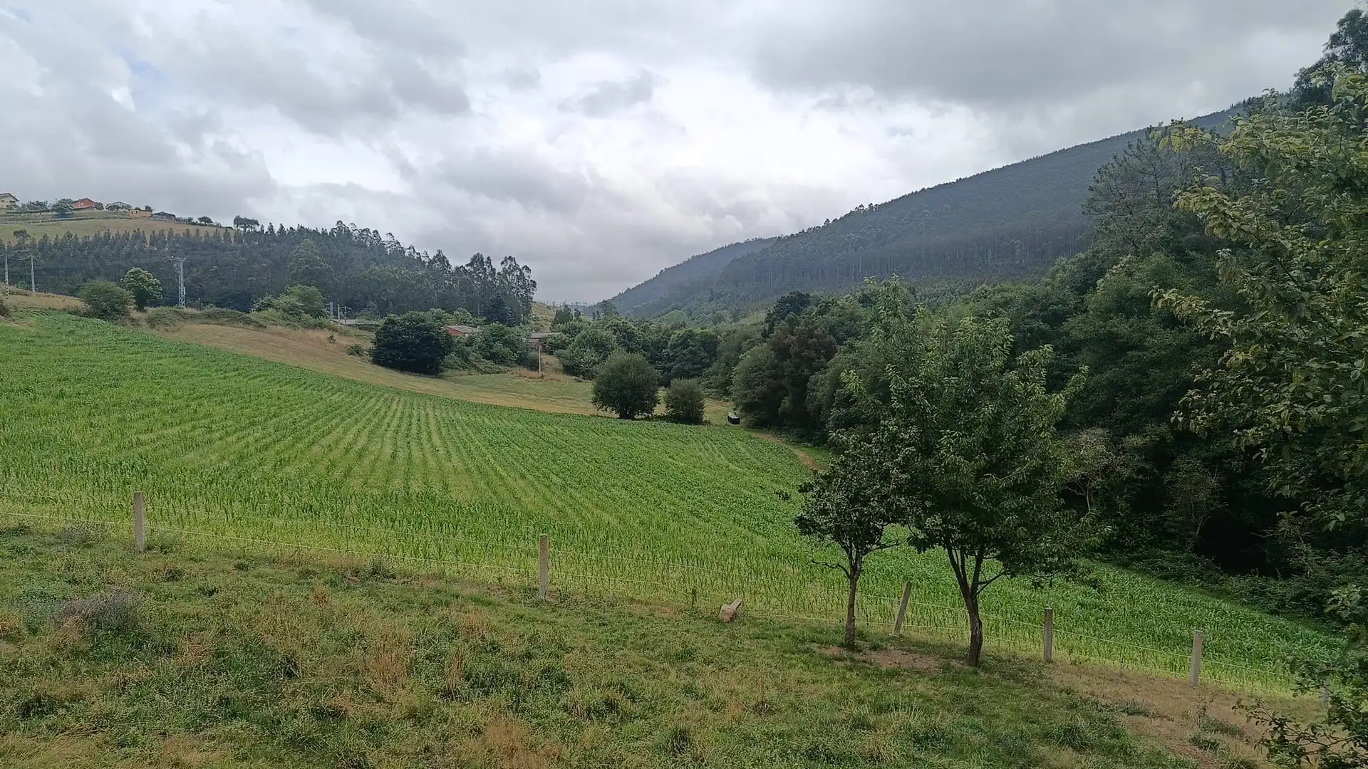 Maison avec jardin à vendre à Lugar Xuga 3D, imagen 17
