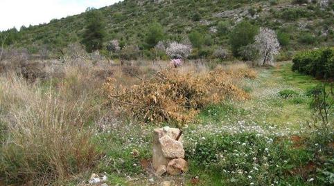 Photo 3 of Residential for sale in Polígono 9 Barranc Negre, 130, Oropesa, Toledo