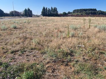 Terreny residencial en venda a Calle Reguera