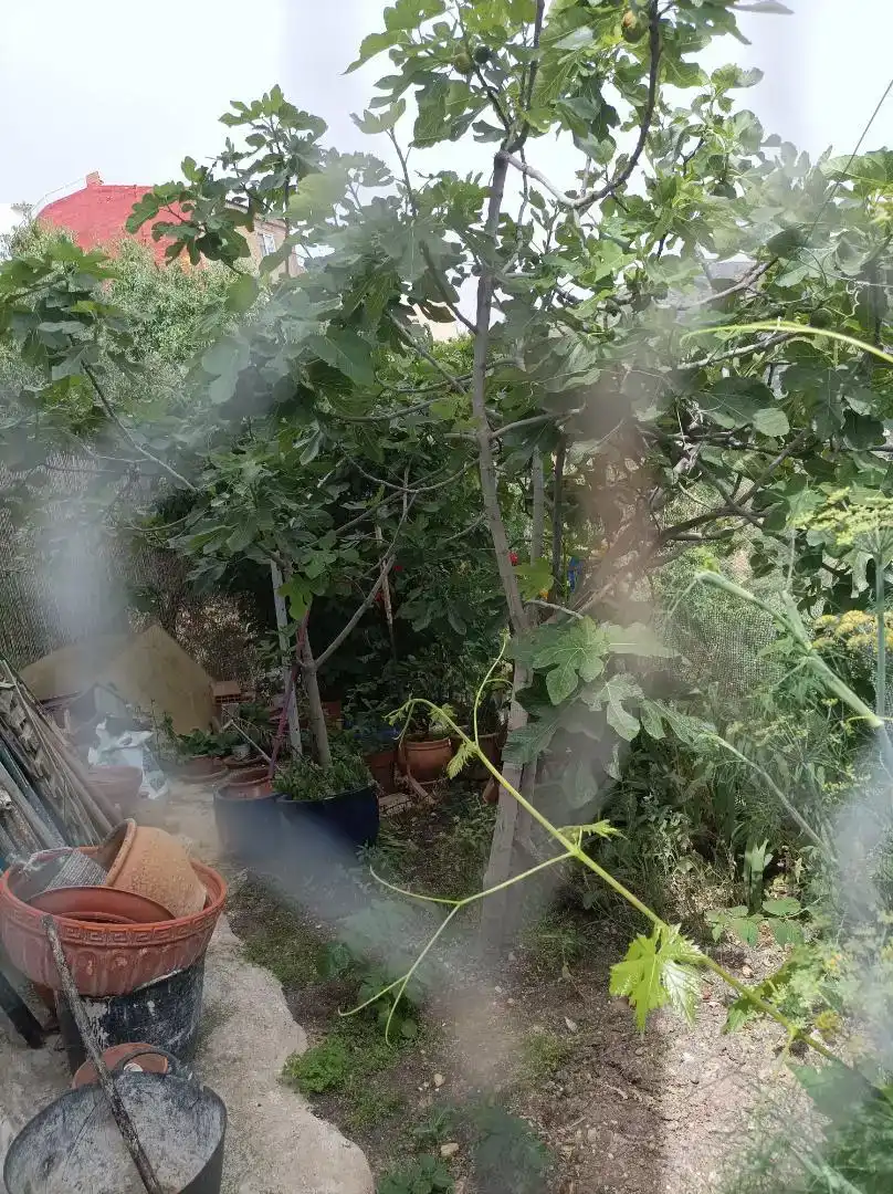 Casa adosada en venda en Noalejo amb Aire condicionat, Jardí privat i Traster