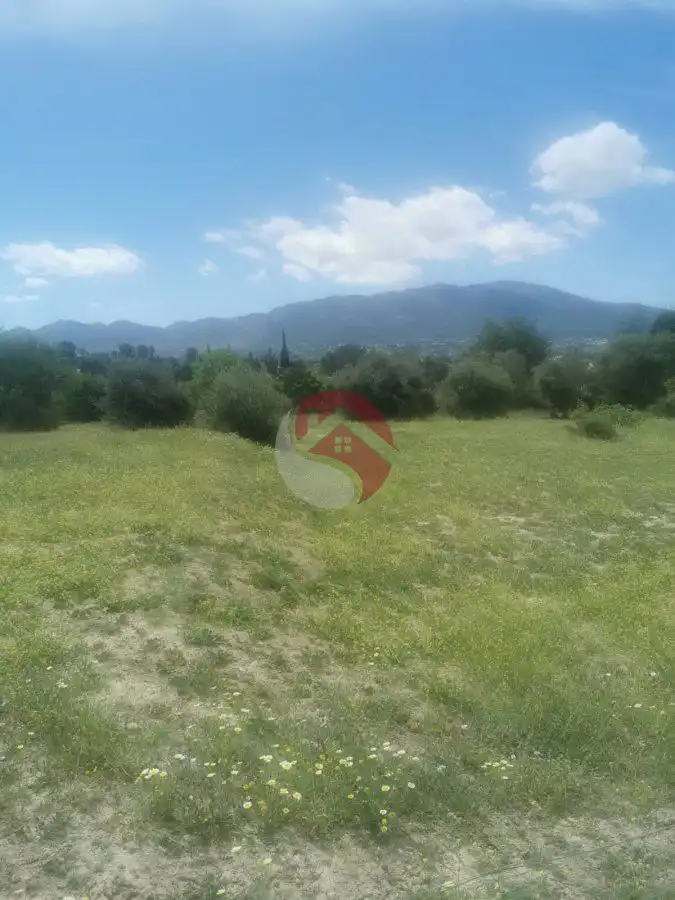 Terreni e lotti in vendita a Centro, imagen 16