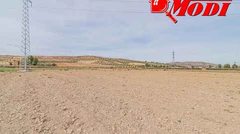 Se vende esta bonita haza de tierra de secano en termino de la Malaha, camino hacia Otura. Son dos fanegas de tierra  9.395 m  don, imatge 2