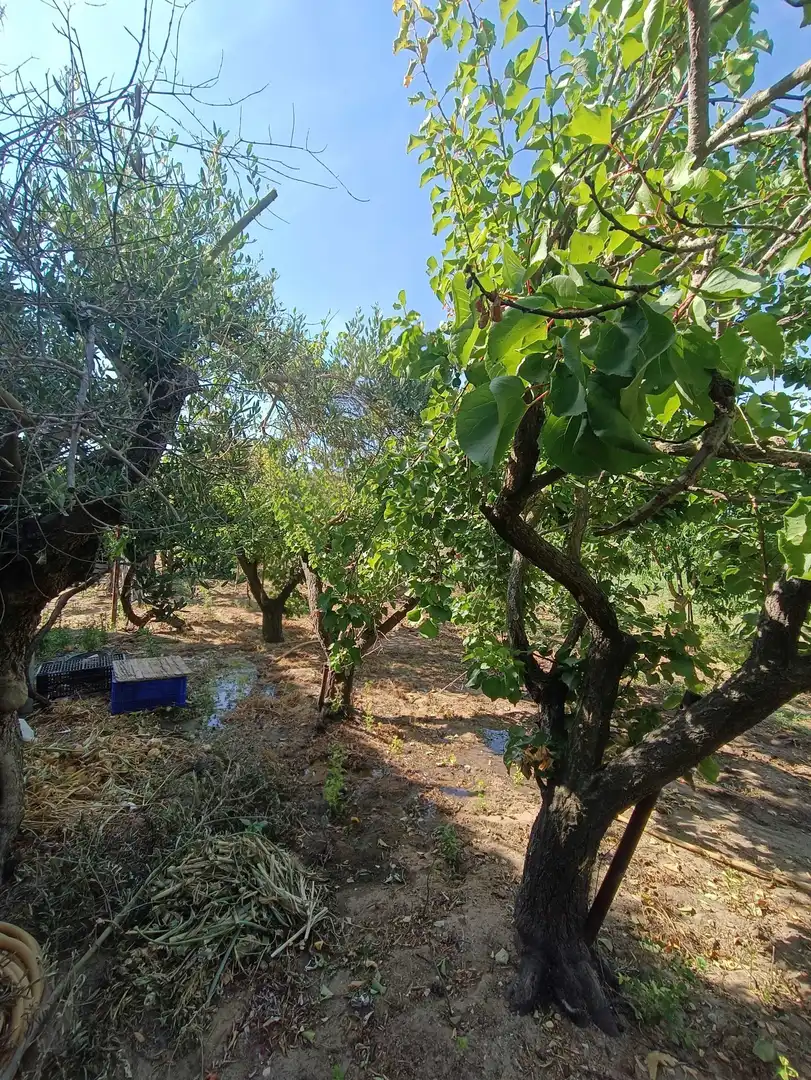 Xalet amb jardí en venda a Don Benito, imagen 12